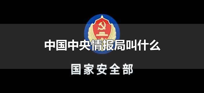 中国中央情报局叫什么