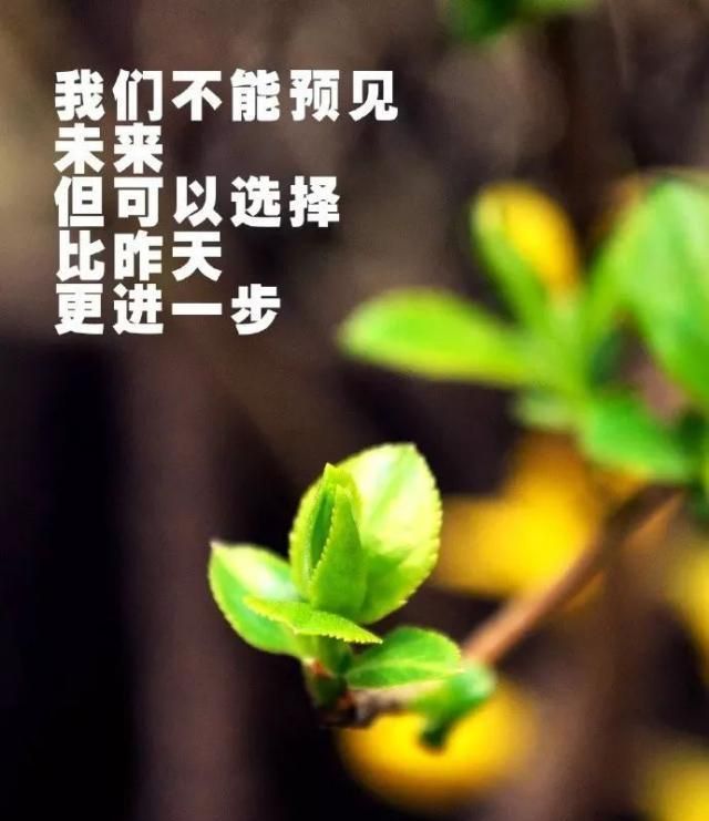 清晨的阳光唯美句子朋友圈简短