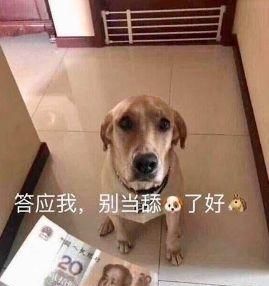 秀儿是你吗什么梗，电视剧里哪些不可思议的客串曾让你大吃一惊？图23