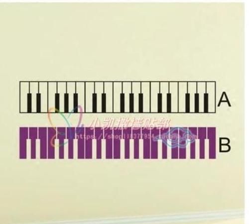钢琴黑白键盘的尺寸谁知道和算比例