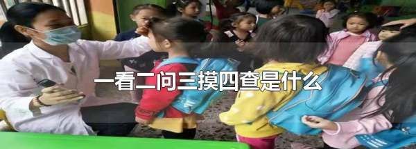 一看二摸三问四查是指,一看二问三摸四查是什么幼儿园图1