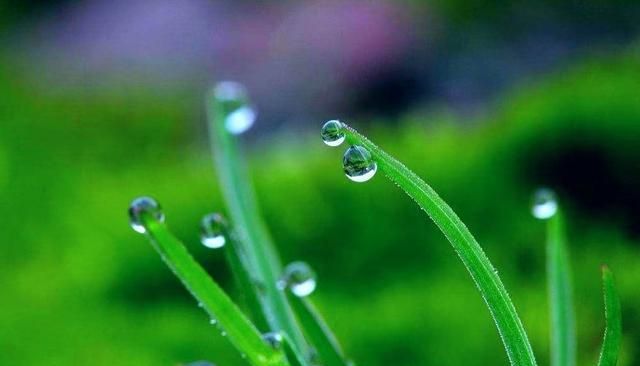 春雨像什么一样轻轻落在地上落叶像什么一样飞舞