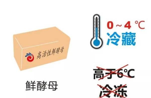 干酵母一次用不完怎么保存,新鲜酵母怎么保存图7