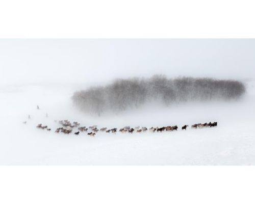 山回路转不见君雪上空留马行处感情(山回路转不见君雪上空留马行处的意思)-第1张图片-