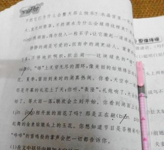 ​什么是过渡句，什么是承上启下的句子？过渡句呢都是什么啊？