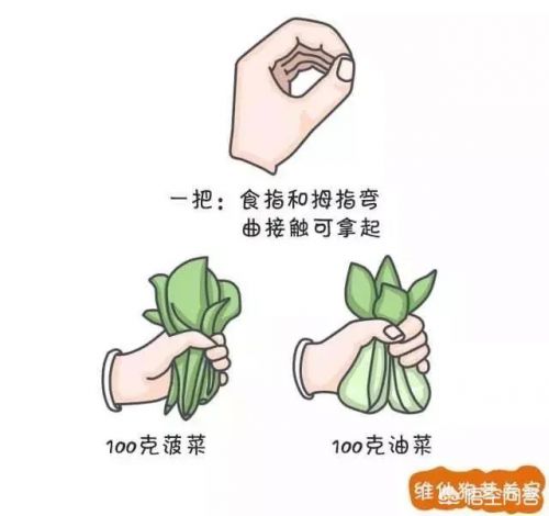 减肥小常识100条简短  减肥小常识短语-第1张图片-