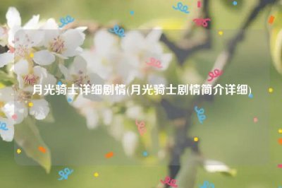 ​月光骑士详细剧情(月光骑士剧情简介详细)