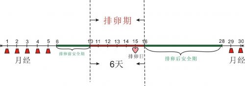 排卵日计算器在线计算，排卵日计算预产期-第1张图片-