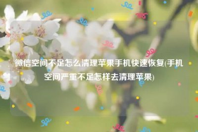 ​微信空间不足怎么清理苹果手机快速恢复(手机空间严重不足怎样去清理苹果)