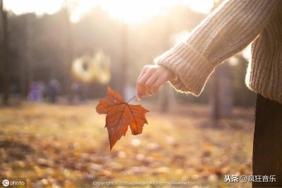 ​通俗唱法教学入门零基础（﻿﻿轻轻松松学唱歌–通俗唱法的训练步骤）