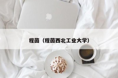 ​程茵（程茵西北工业大学）