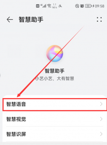 ​华为手机叫什么名字可以唤醒（华为手机怎么找不到语音唤醒）