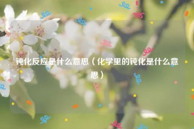 ​钝化反应是什么意思（化学里的钝化是什么意思）