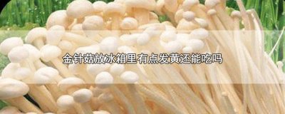 ​金针菇放了一天变黄了还能吃吗 金针菇放两天发黄了还可以吃吗?