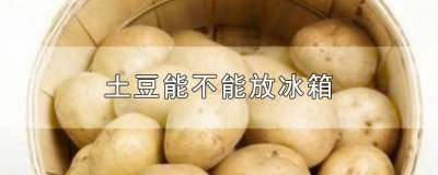 ​土豆能不能放冰箱冷冻 土豆能不能放冰箱里保存