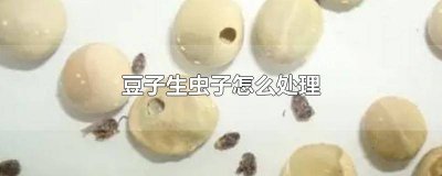 ​生虫的豆子怎么处理 豆子生出来的虫子怎么处理