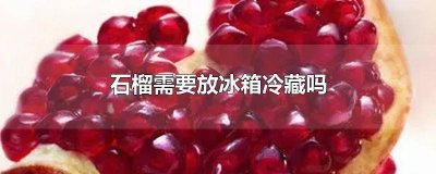 ​石榴能放冰箱里冷藏吗 石榴可以放在冰箱里冷藏吗