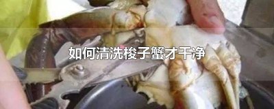 ​梭子蟹该怎么清洗 怎么洗梭子蟹干净