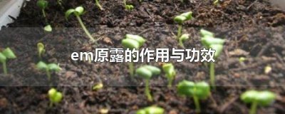 ​em原露成份 em原露怎么怎么样发