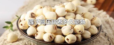 ​莲子用高压锅煮多久烂 莲子用高压锅煮多久