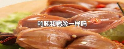 ​鸭脷是什么 鸭胗是什么?