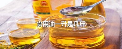 ​一斤食用油是几升 食用油1升等于几斤