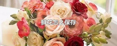 ​花束鲜花怎么保存 别人送的鲜花怎么保存