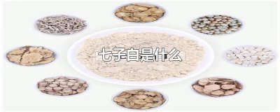 ​七子白有哪些 七子白都有什么