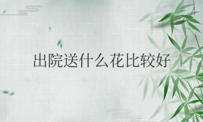 ​朋友出院送什么花比较好一点