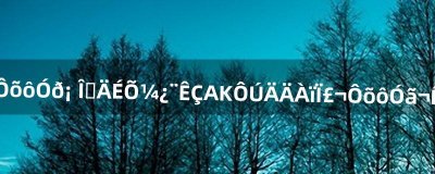 ​nds的金手指怎么用啊? 我的烧录卡是AK在哪里下，怎么用，万分感谢，下完