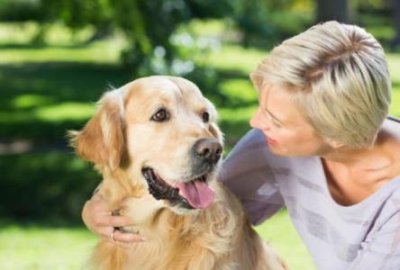 ​秋田犬战斗力排行榜