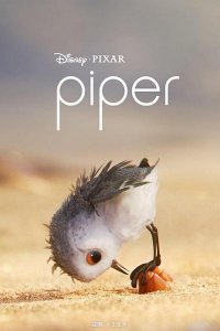 ​《Piper（鹬）》：一部前贴片为何火爆网络，成人人推荐治愈短片