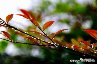 ​《落雨的秋》